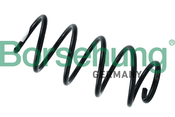 Suspension Spring B12625