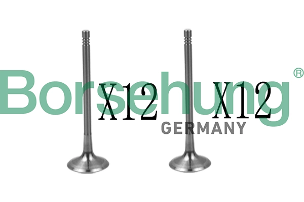 Valve Kit, intake/exhaust valve B18639