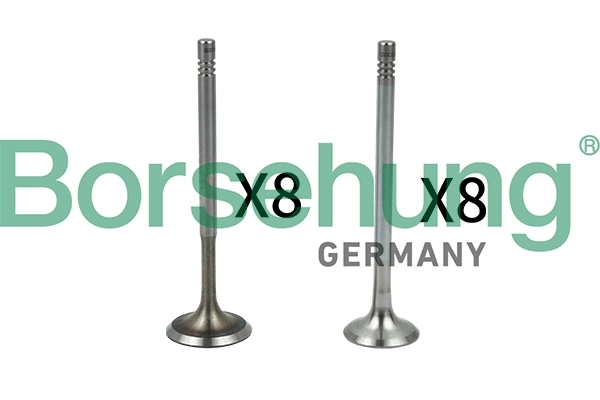 Valve Kit, intake/exhaust valve B18630