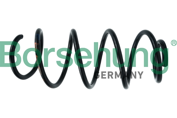 Suspension Spring B12561