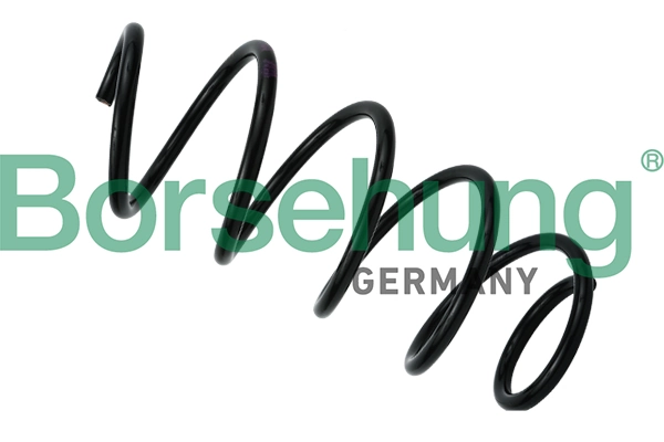 Suspension Spring B12620