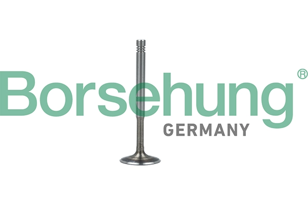 Exhaust Valve B19010