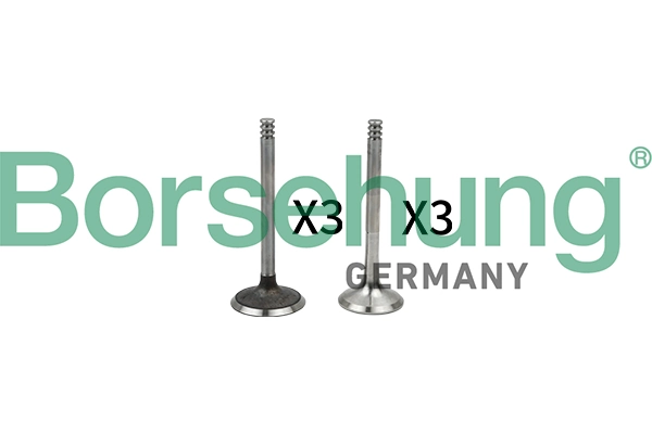 Valve Kit, intake/exhaust valve B18765