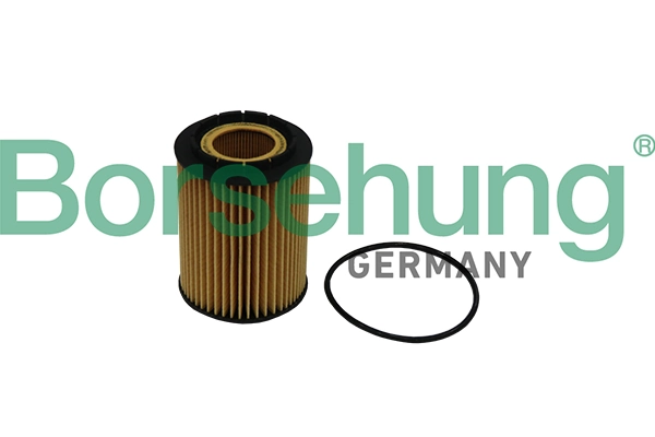 Oil Filter B10516