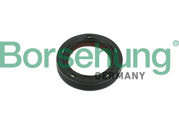 Shaft Seal, camshaft B18729