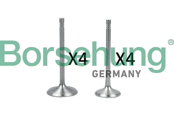 Valve Kit, intake/exhaust valve B18146