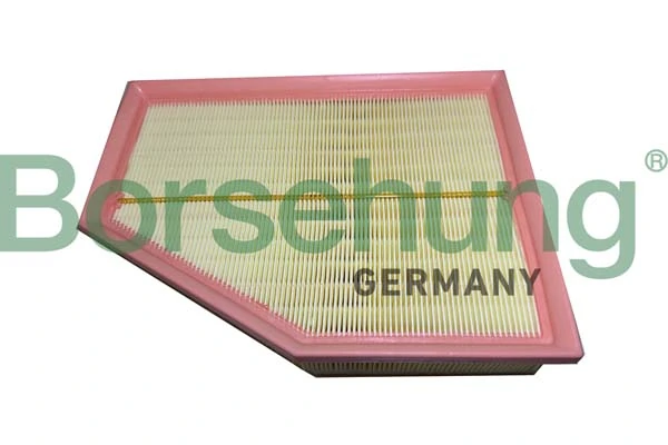 Air Filter B12450