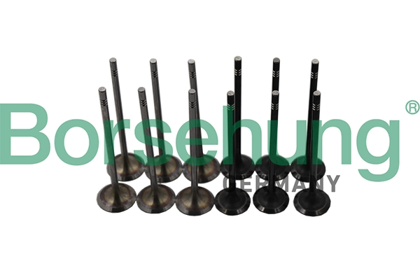 Valve Kit, intake/exhaust valve B19160