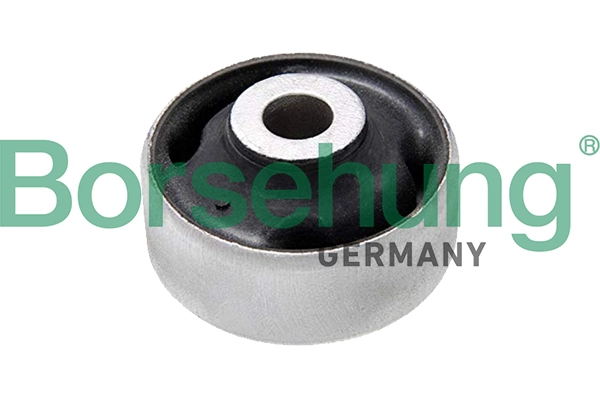 Mounting, control/trailing arm B19147