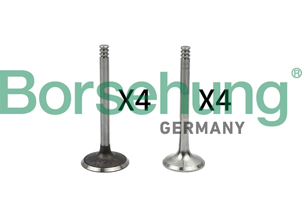 Valve Kit, intake/exhaust valve B18766