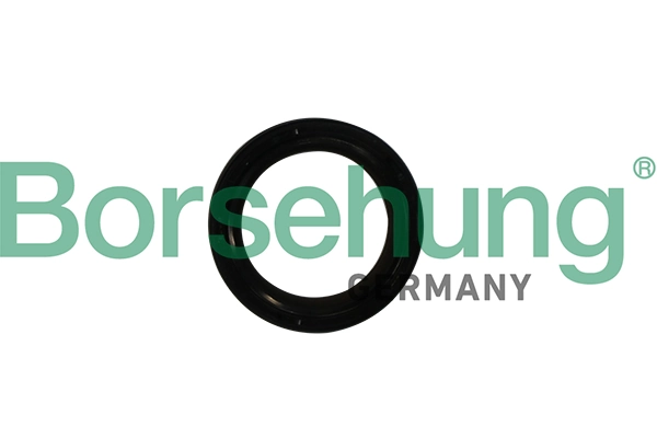 Shaft Seal, crankshaft B12179