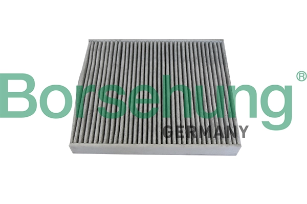 Filter, cabin air B10534