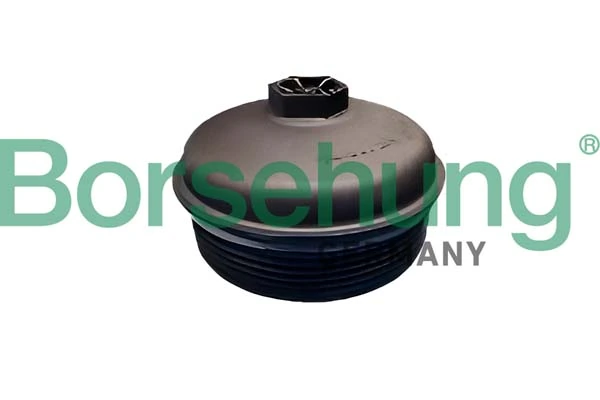 Cap, oil filter housing B12410