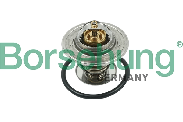 Thermostat, coolant B13141