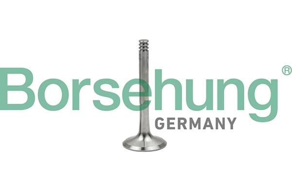 Exhaust Valve B18997