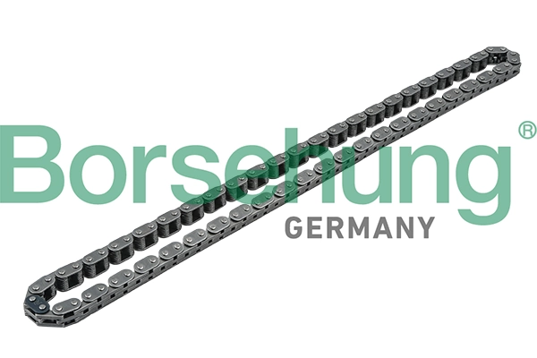 Timing Chain B1C011