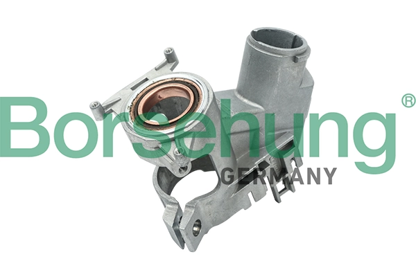 Steering Lock B17981