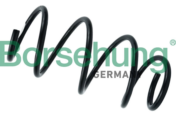 Suspension Spring B12564