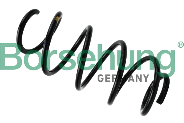 Suspension Spring B12621