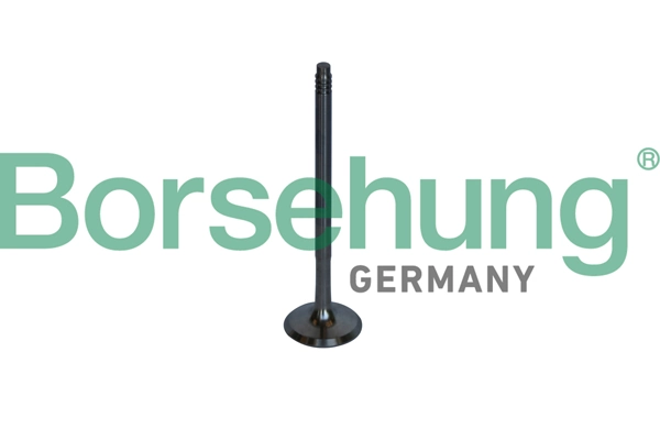 Exhaust Valve B10326