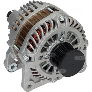 Alternator F032115519