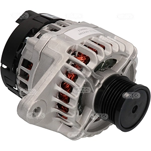 Alternator F032116094