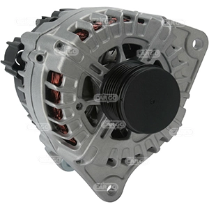Alternator F032116043