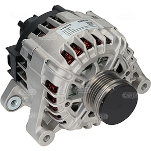 Alternator F032116210