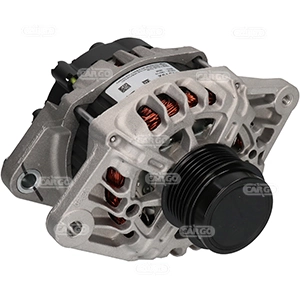 Alternator F032116192