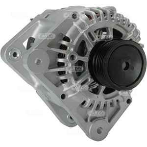 Alternator F032116048
