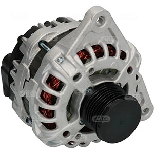 Alternator F032116035