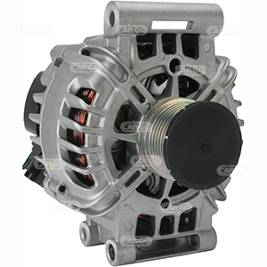 Alternator F032114811