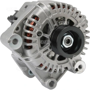 Alternator F032113881