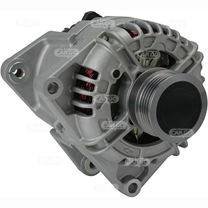 Alternator F032115843