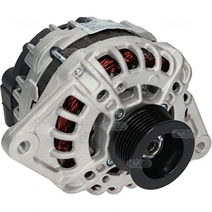 Alternator F032116573