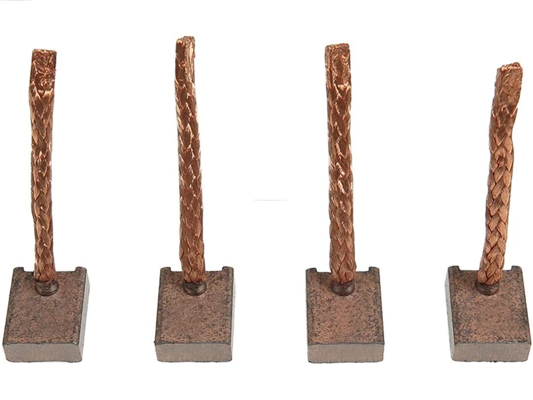 Carbon Brush, starter Brand new AS-PL BSX204-205