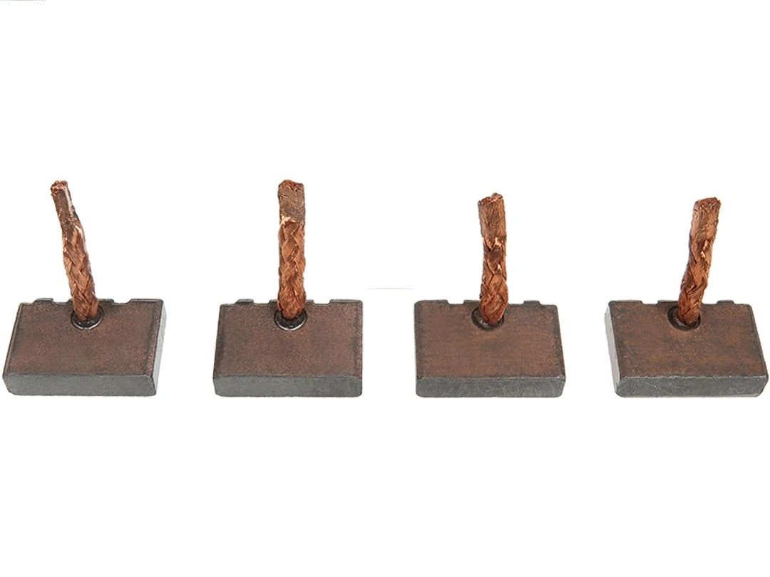 Carbon Brush, starter Brand new AS-PL BSX190-191