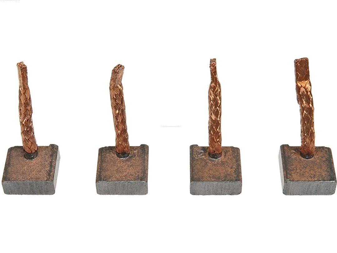 Carbon Brush, starter Brand new AS-PL BSX218-219