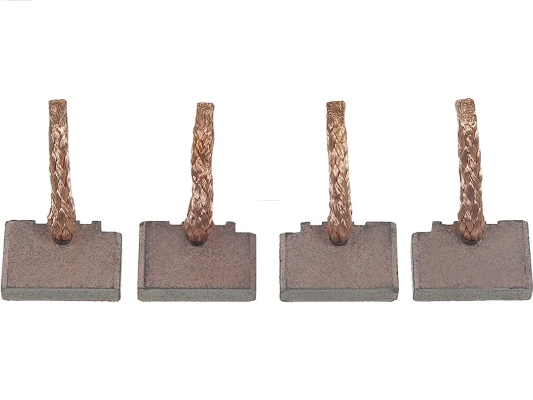 Carbon Brush, starter Brand new AS-PL BSX222-223