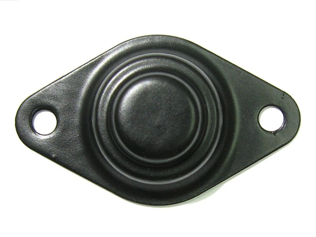 Starter Lid, carburettor Brand new AS-PL SBR0055