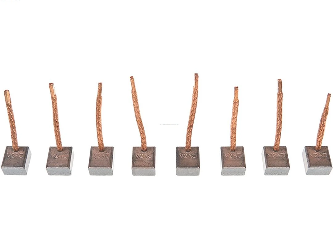 Carbon Brush, starter Brand new IKA GmbH SB3012(IKA)