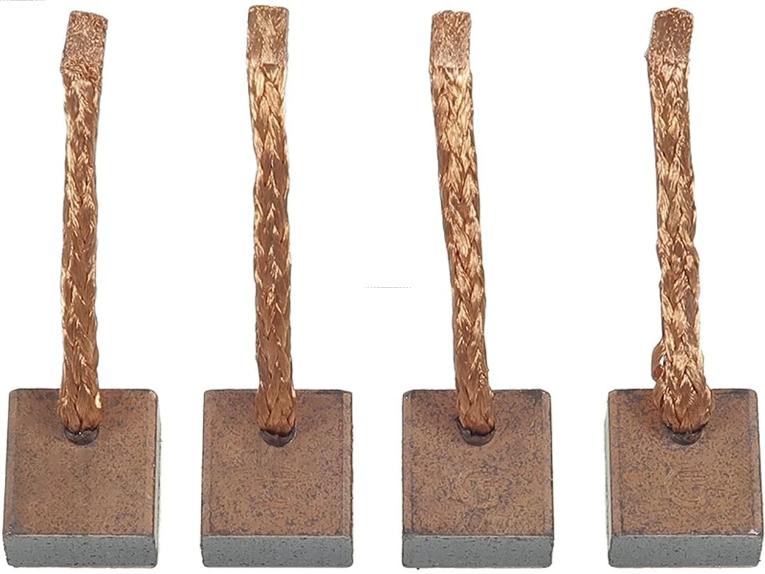 Carbon Brush, starter Brand new AS-PL BSX139