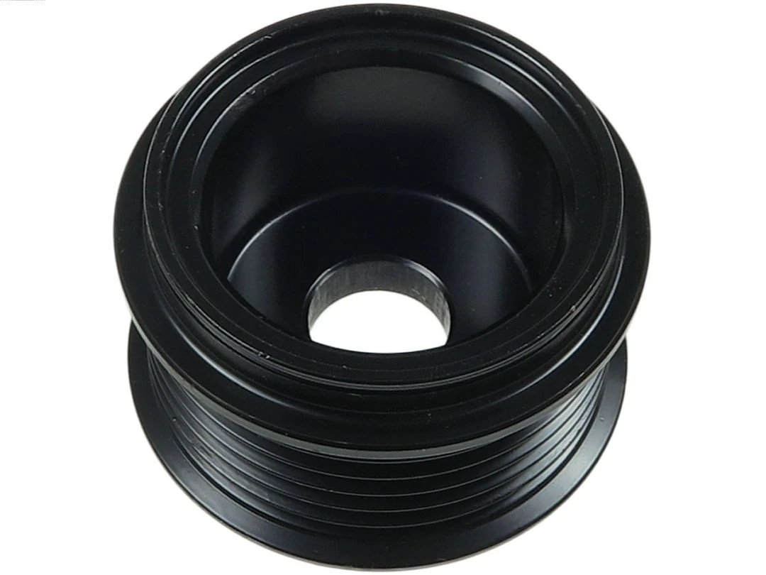 AS-PL AP0048 Belt Pulley, alternator