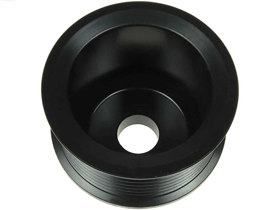 AS-PL AP5016S Belt Pulley, alternator