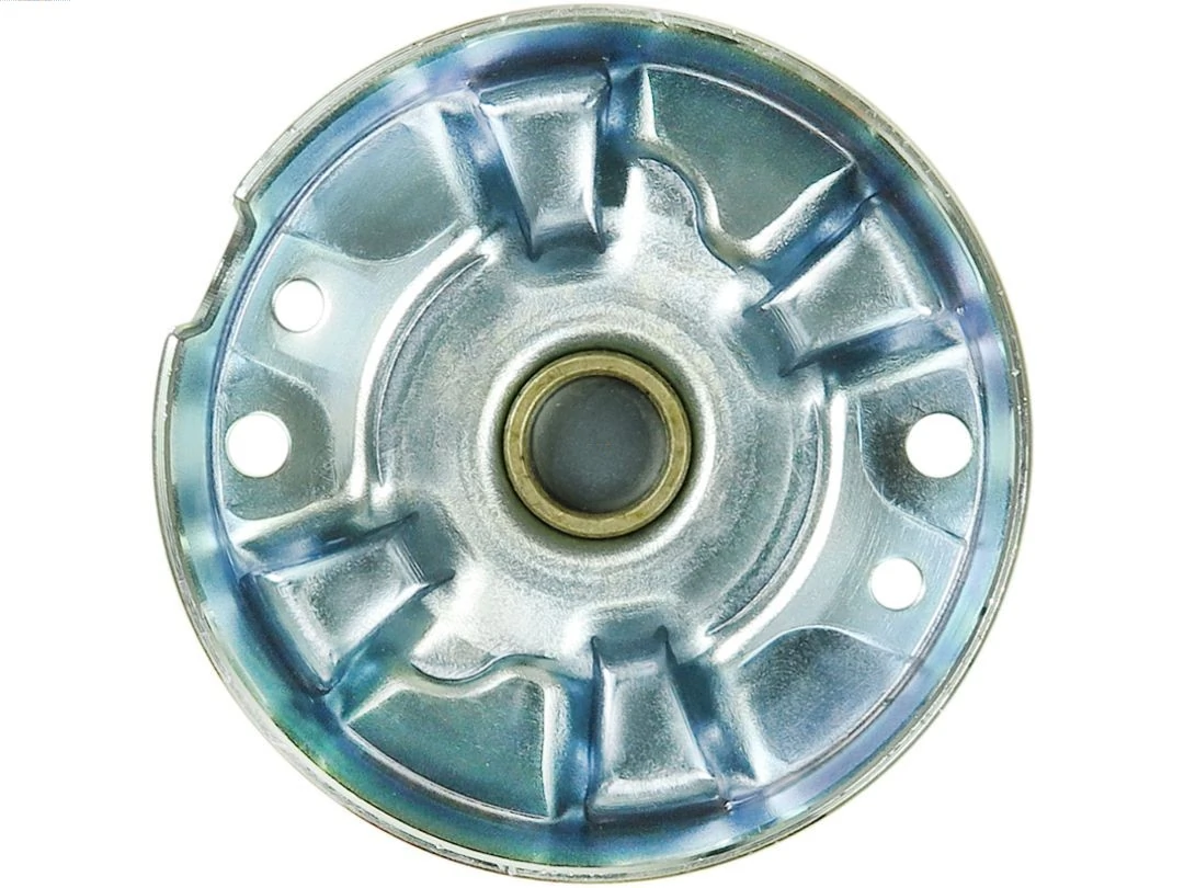 Starter Lid, carburettor Brand new AS-PL SBR2004