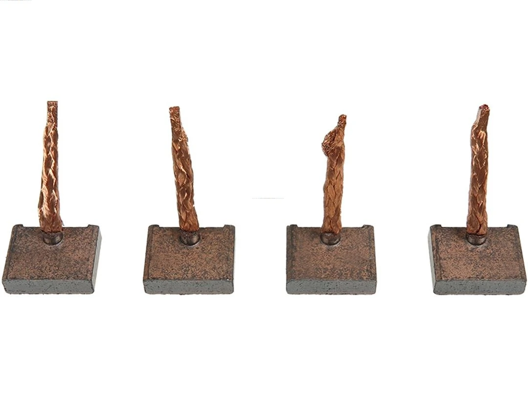 Carbon Brush, starter Brand new AS-PL BSX210-211