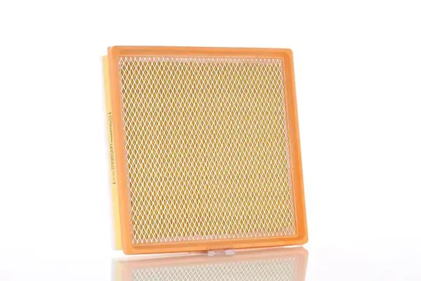 Air Filter WA59660