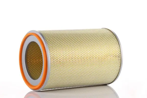 Air Filter WA301200