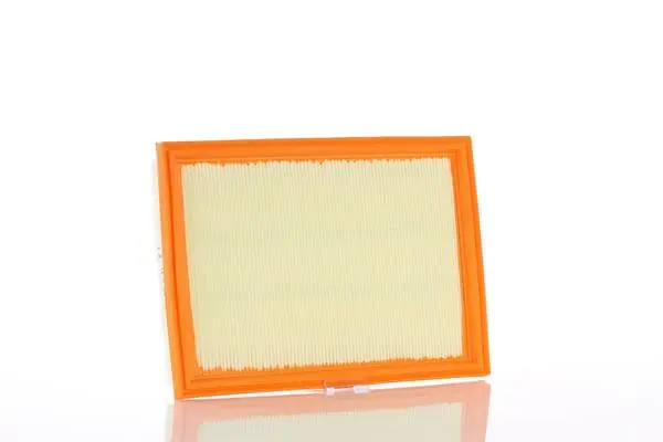Air Filter WA59435