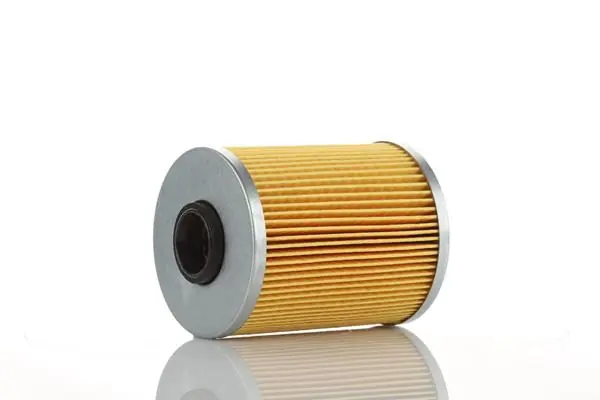 Fuel Filter WP1013X